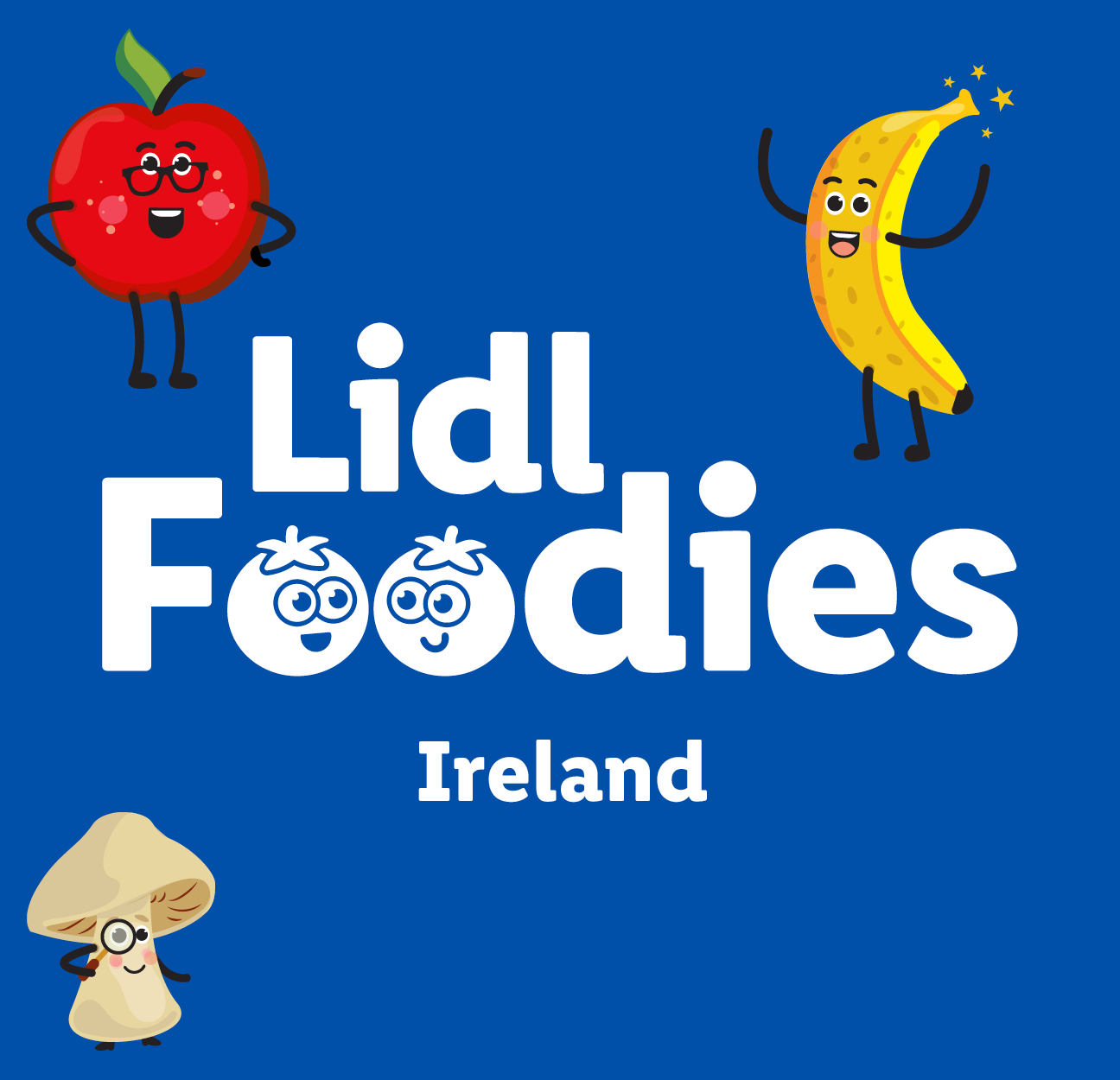 Lidl Foodies initiative card image Ireland
